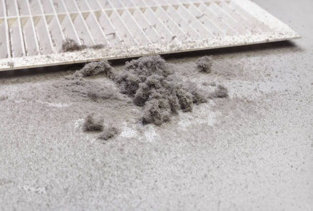 Best Emergency Air Duct Cleaning  in Mundelein, IL